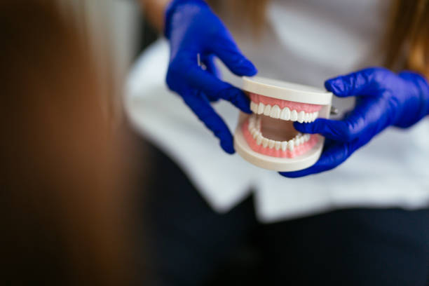 Trusted West Wood, UT  Holistic Dental Services Experts